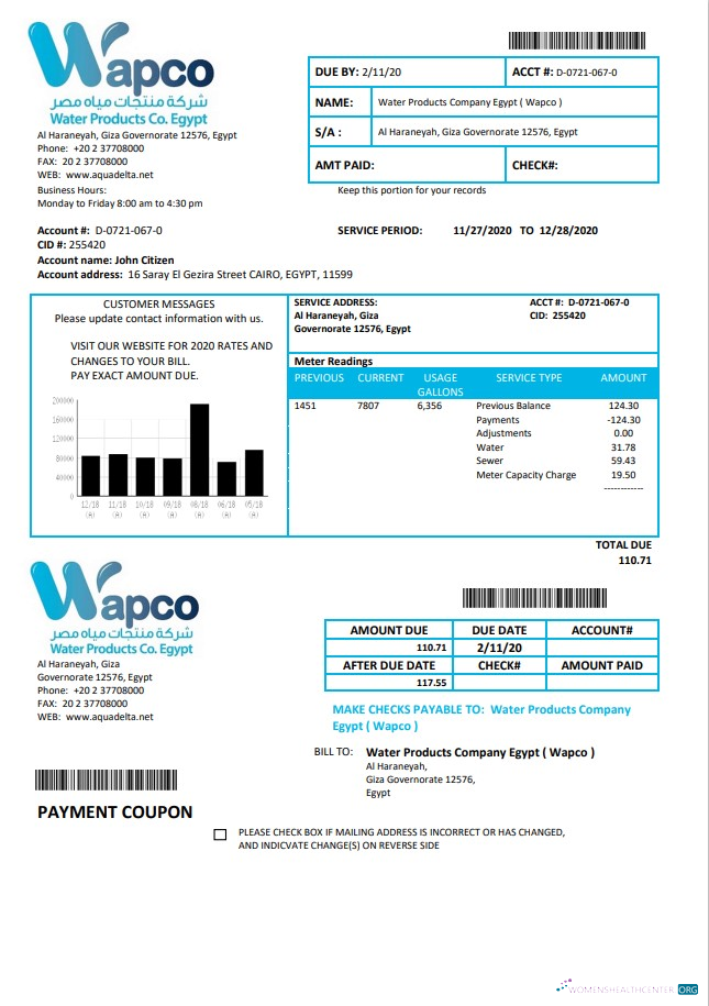 download Egypt Water Products Company Egypt (Wapco) utility bill template in Word and PDF format PDF template